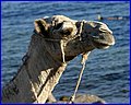 IMG_7769.jpg