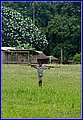 _MG_7648.jpg