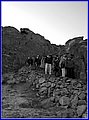 _MG_7965B.jpg