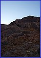 _MG_7972.jpg