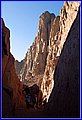 _MG_7984.jpg