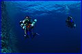 _MG_8110.jpg