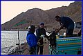 _MG_8164.jpg