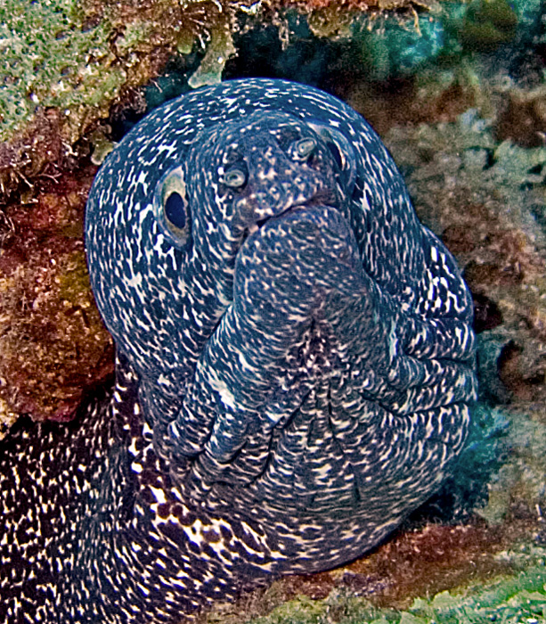 CRW_3761.jpg