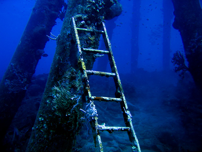 CRW_3803.jpg