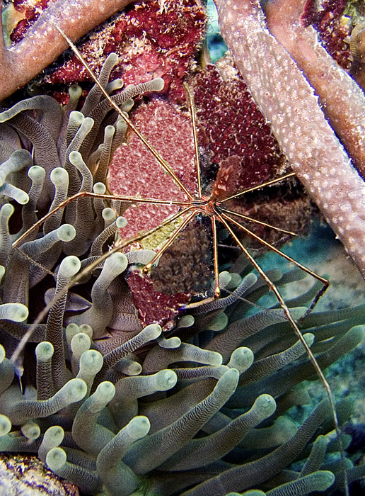 CRW_3957.jpg