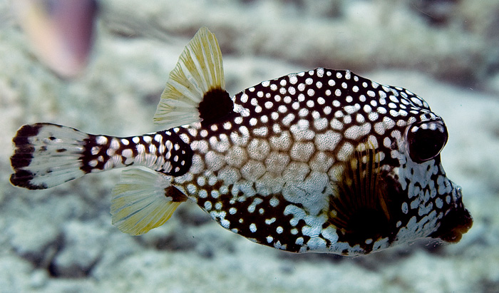 CRW_8082.jpg