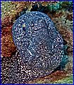 CRW_3761.jpg