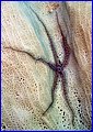 CRW_4039.jpg