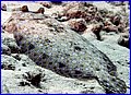 CRW_8094.jpg