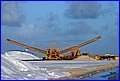 IMG_8987.jpg