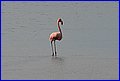 IMG_9113.jpg
