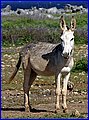 IMG_9288.jpg