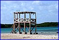 IMG_9372.jpg