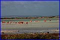 IMG_9419.jpg
