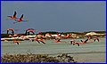 IMG_9429.jpg