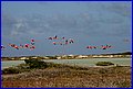 IMG_9433.jpg