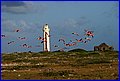IMG_9442.jpg