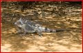 _MG_8667.jpg