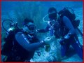 _MG_8737.jpg