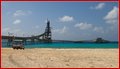 _MG_8785.jpg