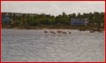 _MG_8881.jpg
