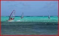 _MG_8894.jpg