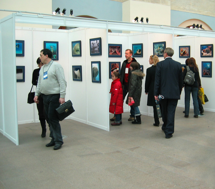 IMG_5637.jpg