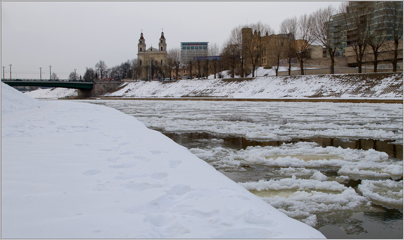 _MG_0316.jpg