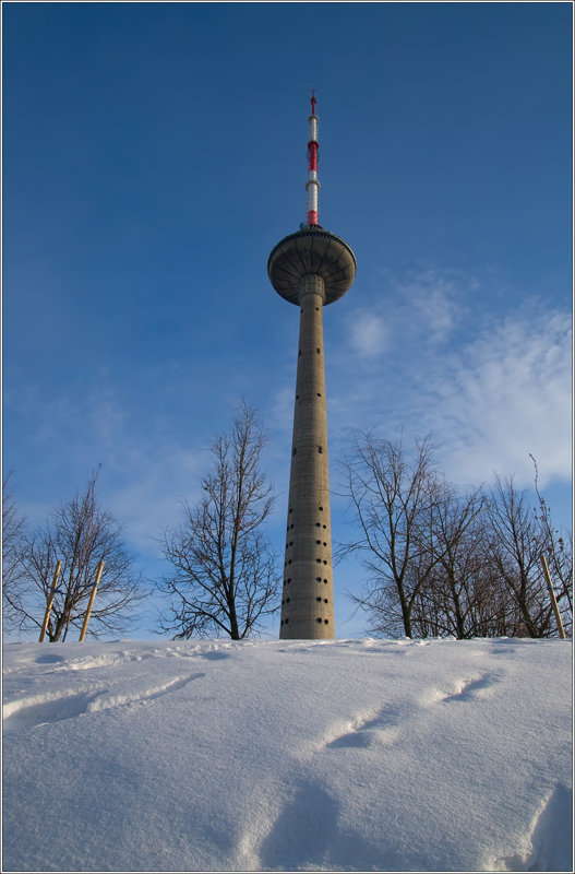 _MG_0426.jpg
