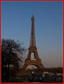 _MG_1115.jpg