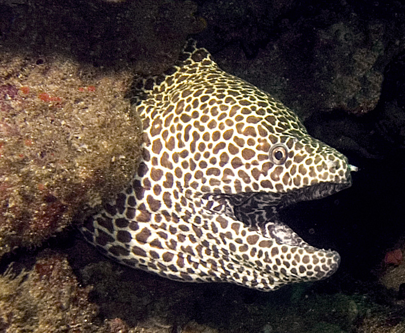 CRW_4442.jpg