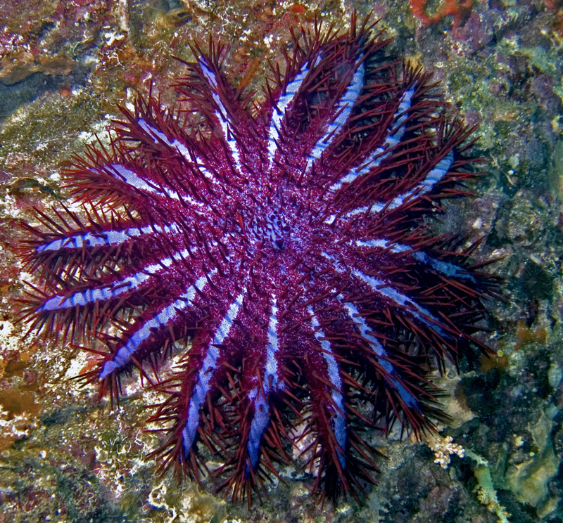 CRW_4497.jpg