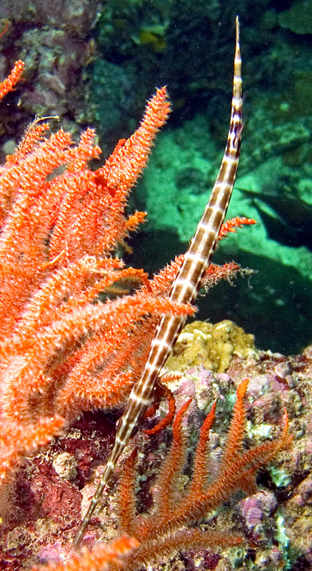 CRW_4590.jpg
