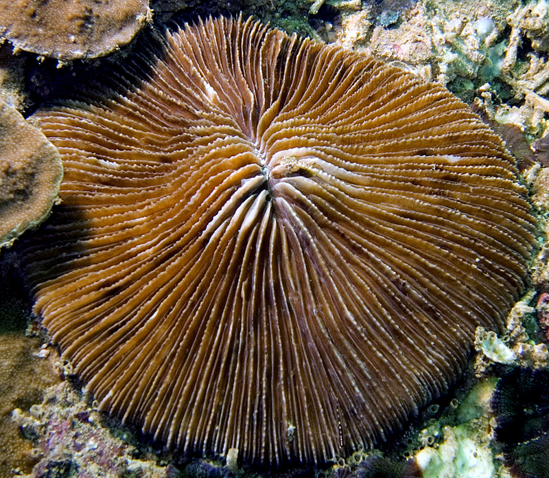 CRW_4598.jpg