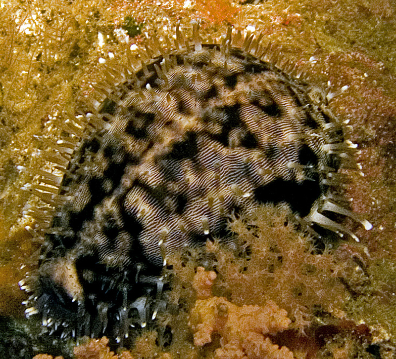 CRW_4677.jpg