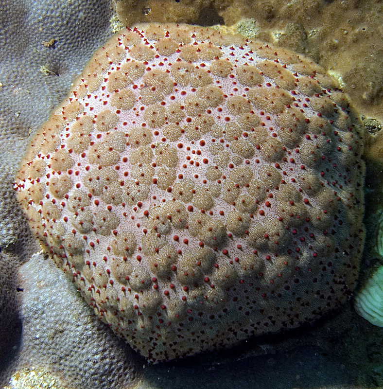CRW_4759.jpg