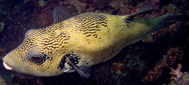CRW_4763.jpg