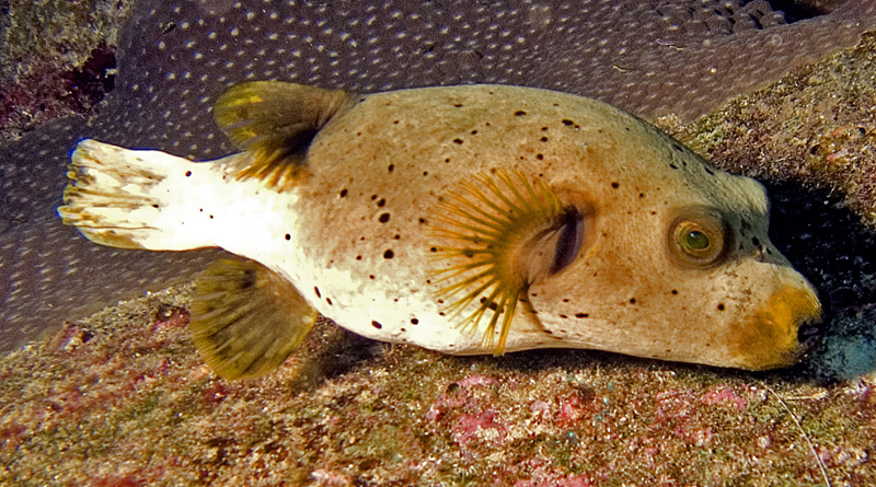 CRW_4945.jpg