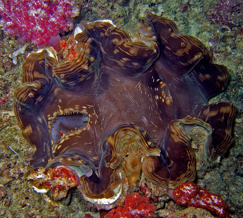 CRW_5045.jpg