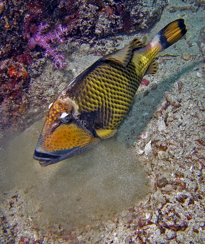 CRW_5186.jpg