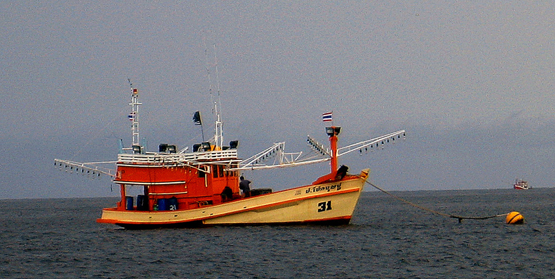IMG_5155.jpg