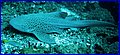 CRW_4459.jpg