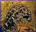 CRW_4677.jpg