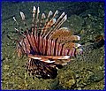 CRW_4829.jpg