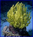 CRW_4908.jpg