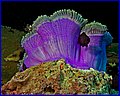 CRW_4975.jpg
