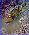 CRW_5186.jpg