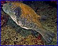 CRW_5204.jpg