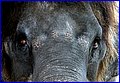 IMG_1008.jpg